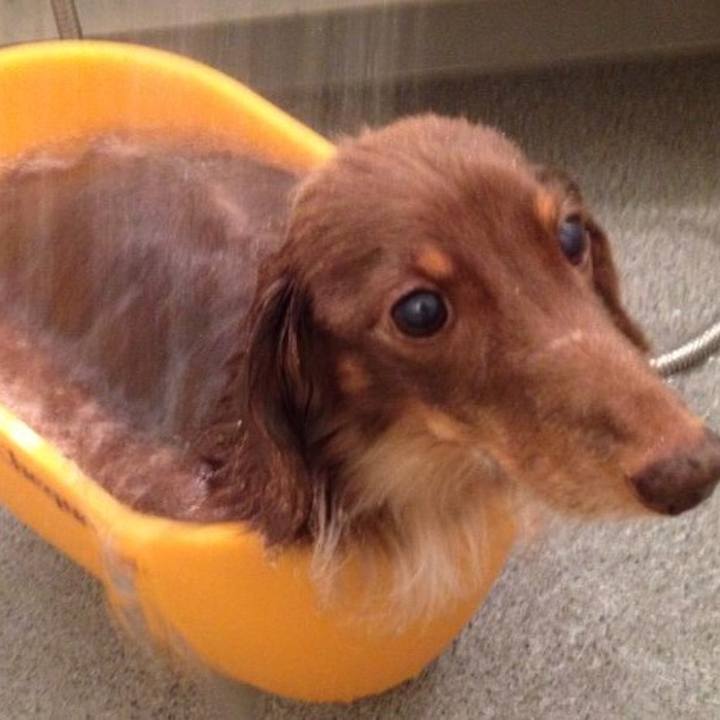 Fa59e673 f5ff 4c15 a86c db1e0297cec8 1512049168195