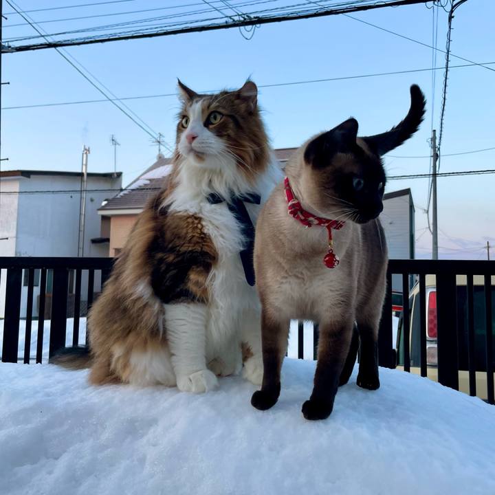 Fa5a210f 03b4 437d 97f1 134d81768f7d 1771623725275