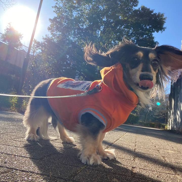 Fa5a32e1 0303 4fd1 9bca b362a491b4f2 1766990553030