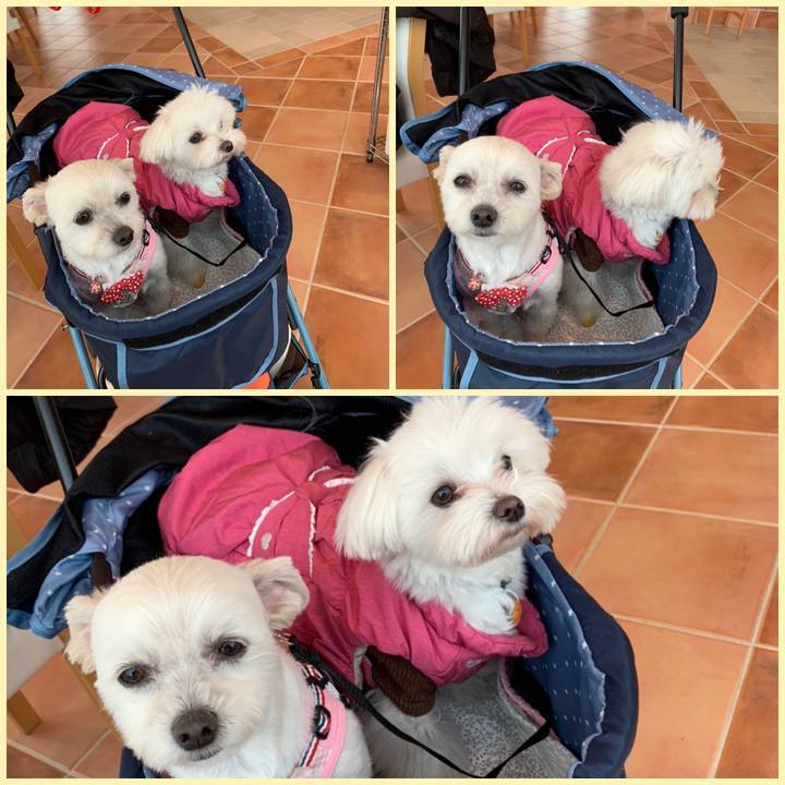 Fa5a75dc 1599 45f3 ab7f 5b04a388ac31 1582879289910