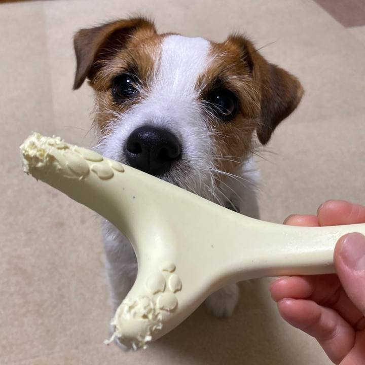 Fa5a7f01 ebd0 4032 8362 c6273257b732 1756645772126