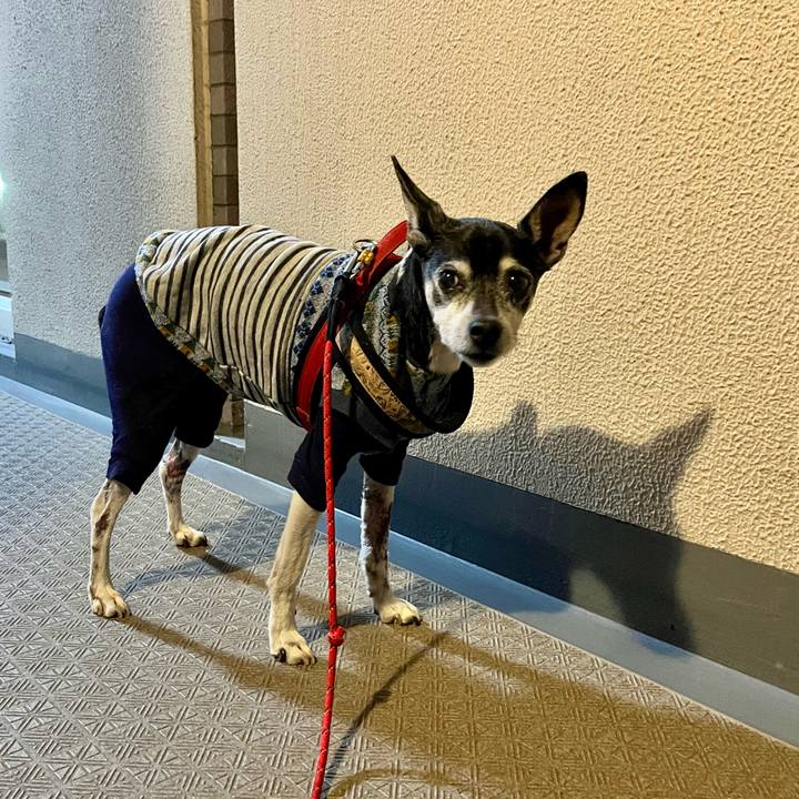 Fa5ac83c f711 4189 b741 e2d204e3ff56 1646834119115