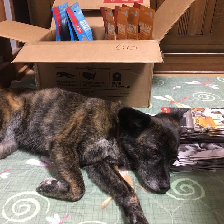 Fa5ad21a f553 44e4 b68a 2dfb788e4ab1 1533132048685