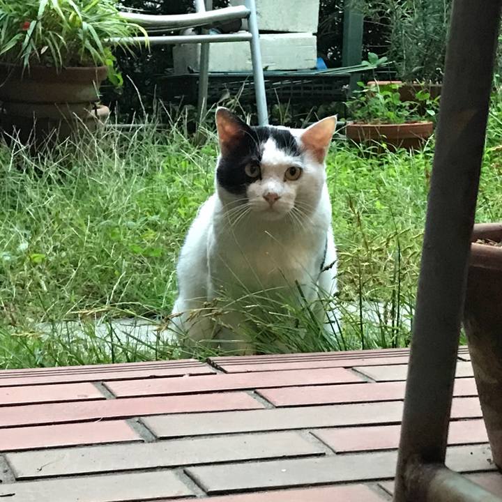 Fa5ad9cf ab1f 4f5a 97c2 d8763db1c4a0 1538728049315