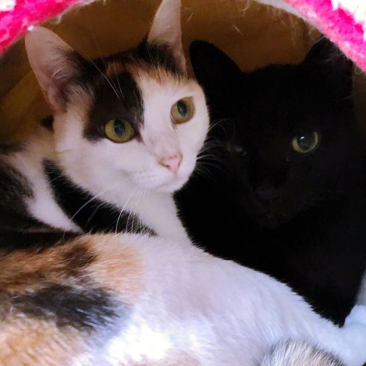 Fa5b0edd 9f7d 45de 875a 7bf1a9a81c81 1507685667754