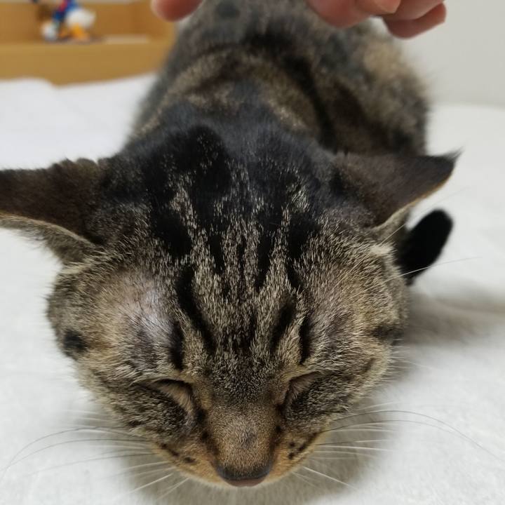 Fa5b2bc9 86fe 4c5f 8f0c e7c066464c09 1604961456904