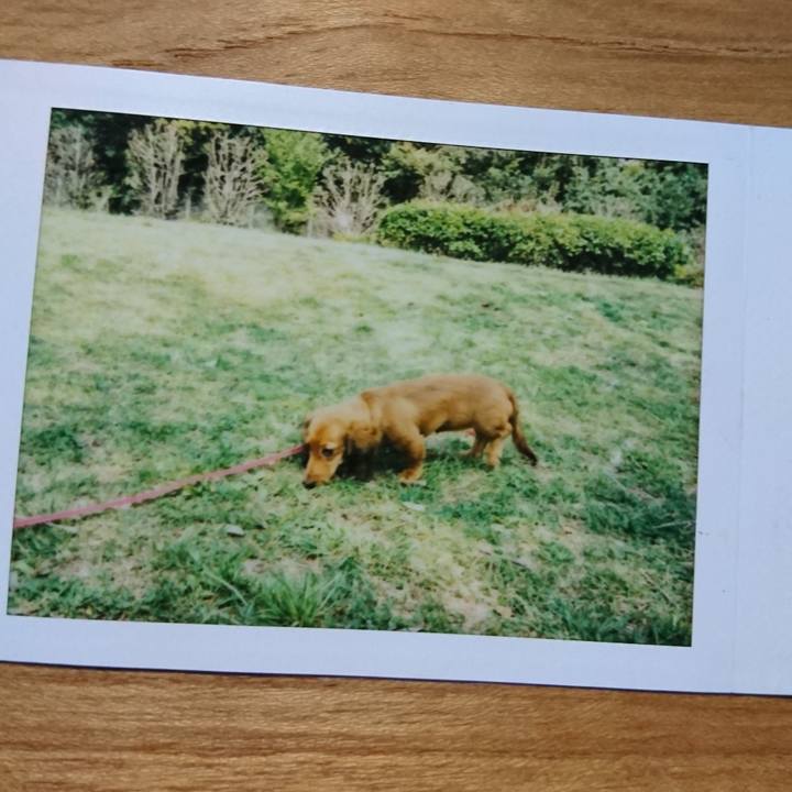 Fa5b2c25 ca2e 4206 b381 0bb0ee519e44 1582480957229