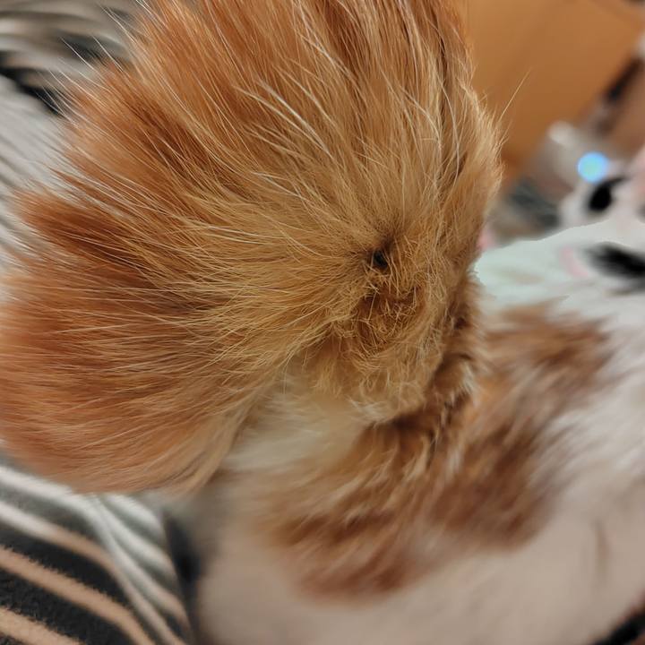 Fa5b6e8d 0db7 4ba4 a1b8 0850597cef3a 1742651942258