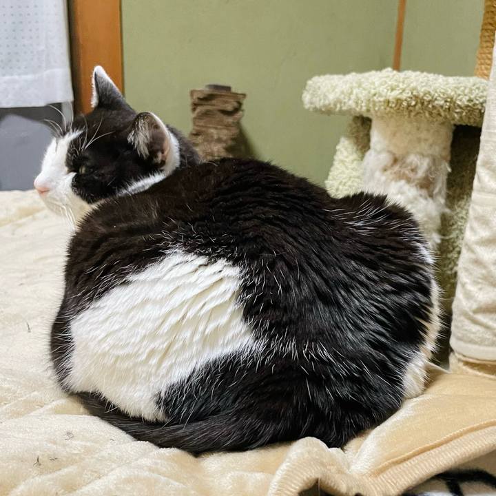 Fa5b7dff 7ee0 49f7 a497 31fc606f3105 1649040558108