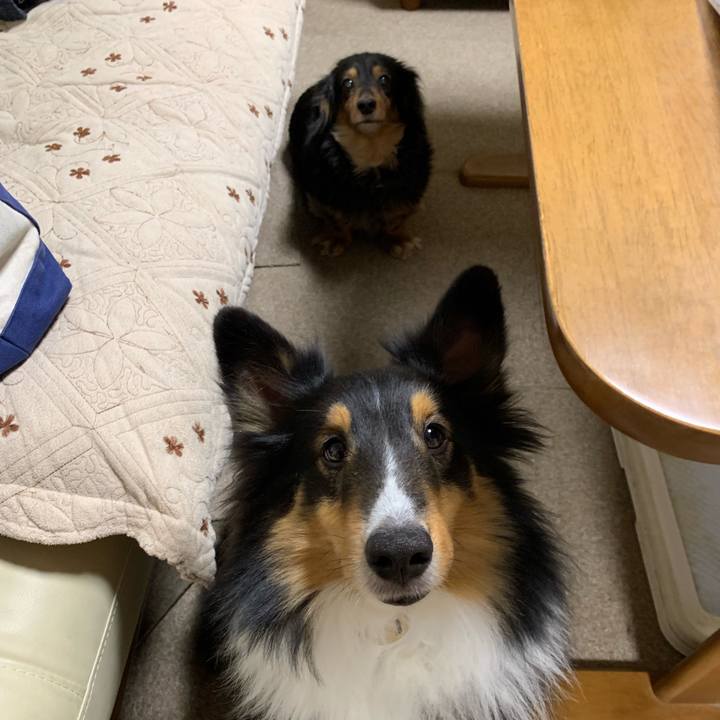 Fa5b8de7 d430 4048 aca9 7034174b043f 1579211879170