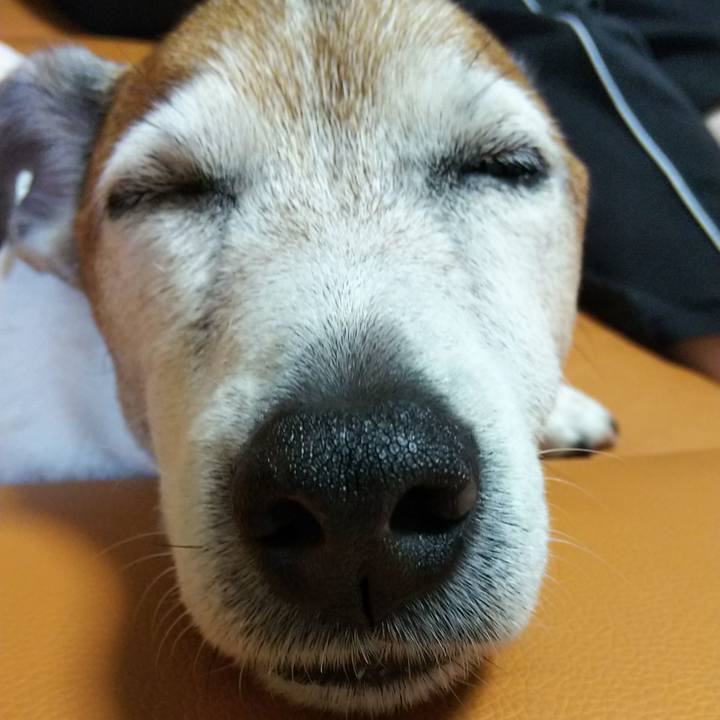 Fa5bb72f 9998 448f a7a8 11d6f076739a 1523455595764