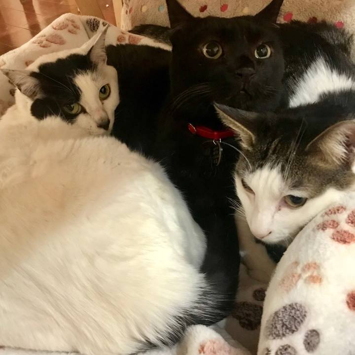 Fa5bc163 59b7 4faf 98f4 de0f22d0b0af 1546926363248