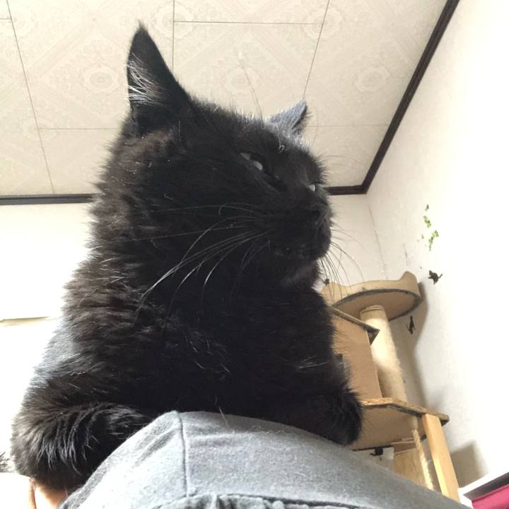 Fa5bc637 1e2e 459b 844c 364b8b0d4aca 1603714827914