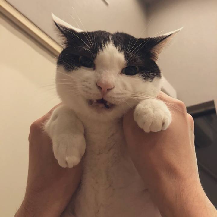 Fa5bd59f 629d 4fd8 a4a2 4c5868a33233 1637277918244