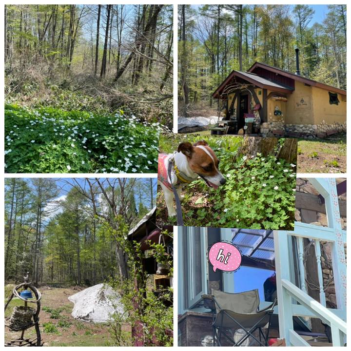 Fa5bdddf 7d20 4882 9ceb c3cc984132fa 1651743315995