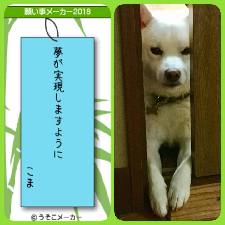 Fa5c13fa 09db 4dc2 913f d6ee9efd50d9 1530938360810