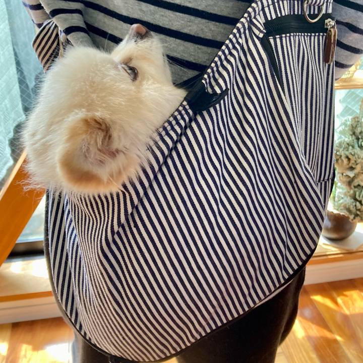 Fa5c295c 4dec 455c 9136 7bb0f4d2a959 1713576231198