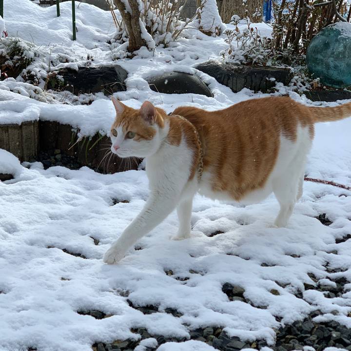 Fa5c3696 341b 4ab8 bda1 6ad5ce0aba4f 1608003583310