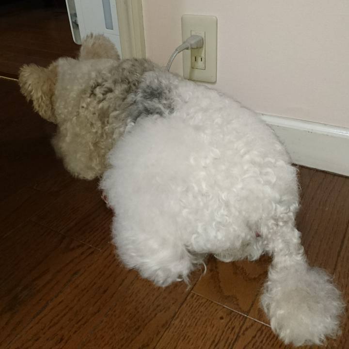 Fa5c4002 26be 4861 98eb 389ac591081b 1509012628885