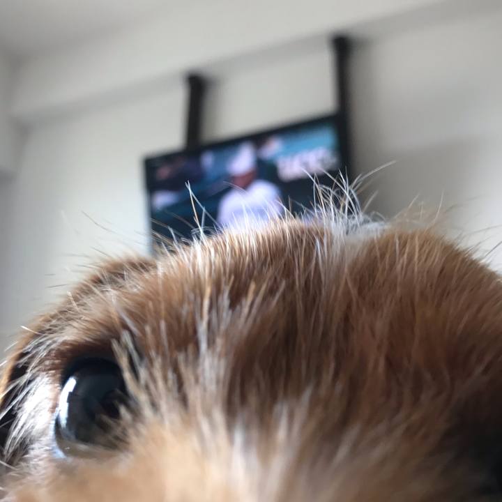 Fa5c4267 3e8f 4b80 9049 461e9dee2daa 1554176195114