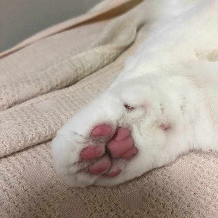 Fa5c735e 3f67 42ce 8afa 1fcc3be3d2a3 1693224036965