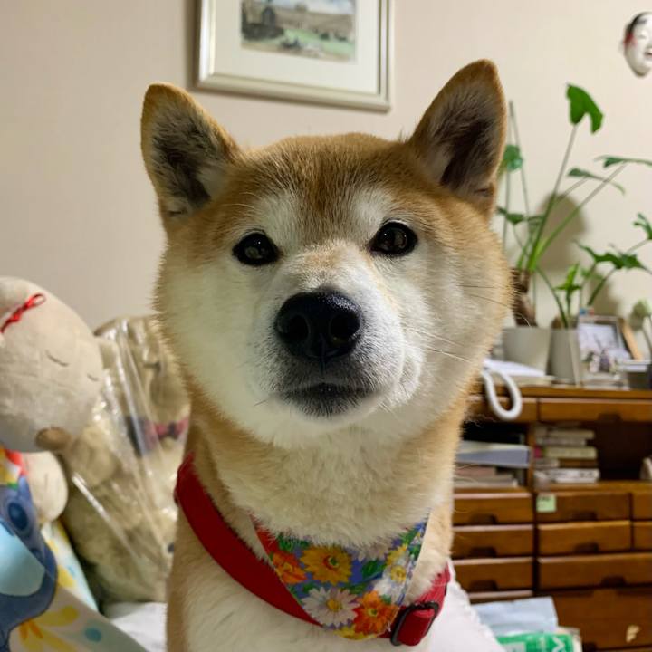 Fa5c8c33 183a 4021 83a4 f78b1269f52f 1621506147115