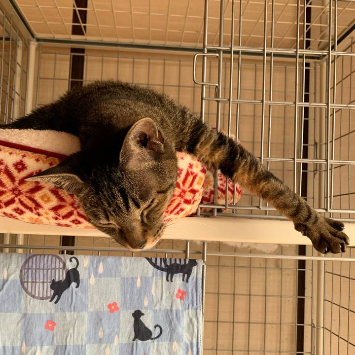 Fa5cac07 5ab0 4179 84d8 01bf952b3f01 1589331824779