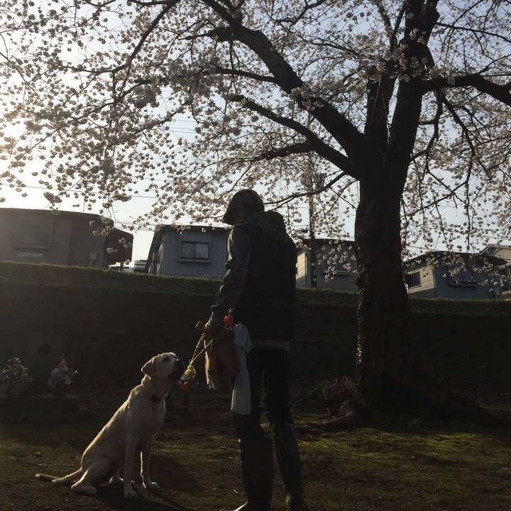 Fa5cb4fa e020 4ce0 a42e 733beda19a1b 1650028468334