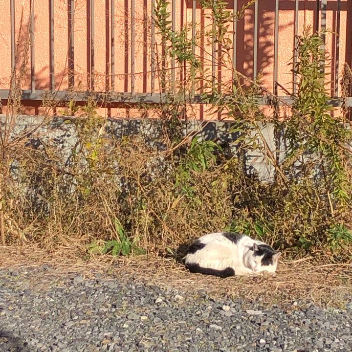 Fa5ce075 d88b 49c2 b791 ca9b7da450a5 1609362092464