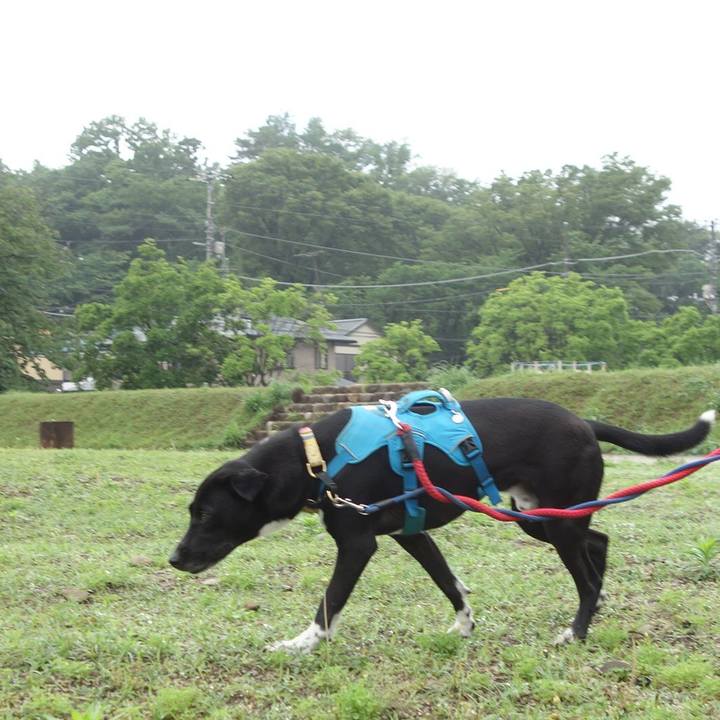 Fa5cfbf9 b3f1 47b3 a22c 84ffbb818c86 1621557300305