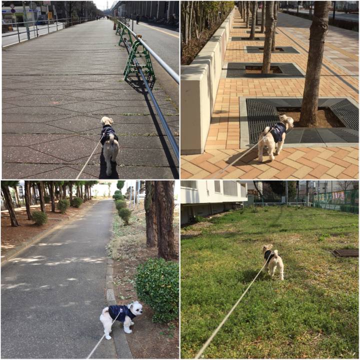 Fa5d14fe 59a2 4f82 bfb2 9dc2e29a5fa7 1550827916701