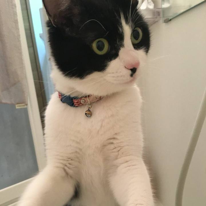 Fa5d23ca 813b 4591 be3f e7a5b2c2174b 1540551744840