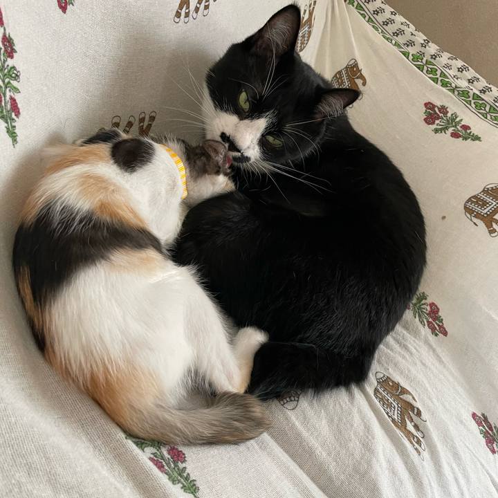 Fa5d45a1 81e2 4f14 a0ef 13f806cd7f0b 1658372053150