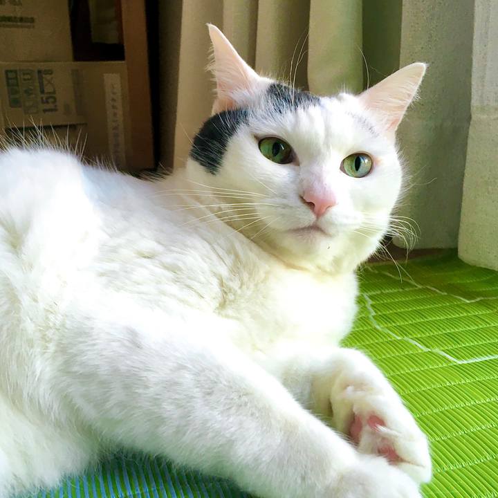 Fa5d6860 0fd5 45b6 b2d5 bb8dbf5c4340 1612770274607