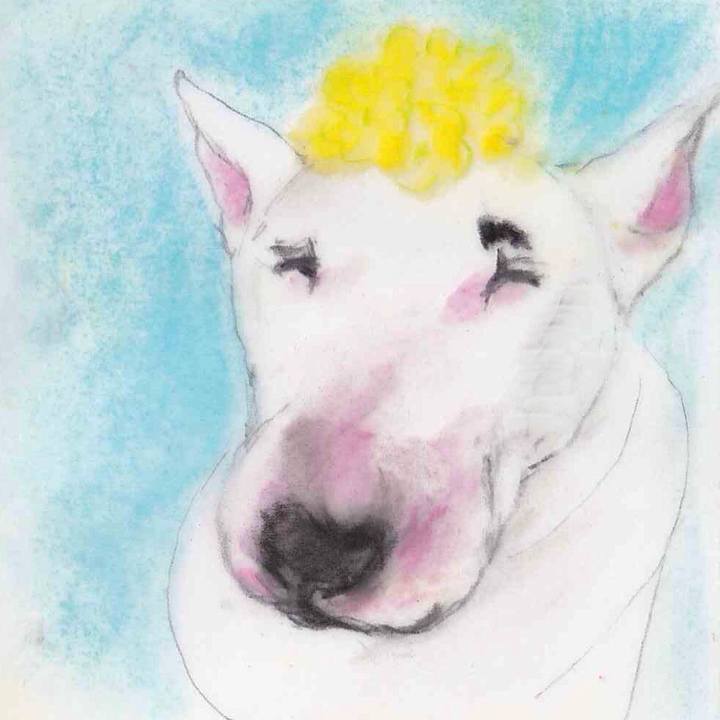 Fa5d817d 22ac 44b6 8a44 2fc78c892b18 1647617455485