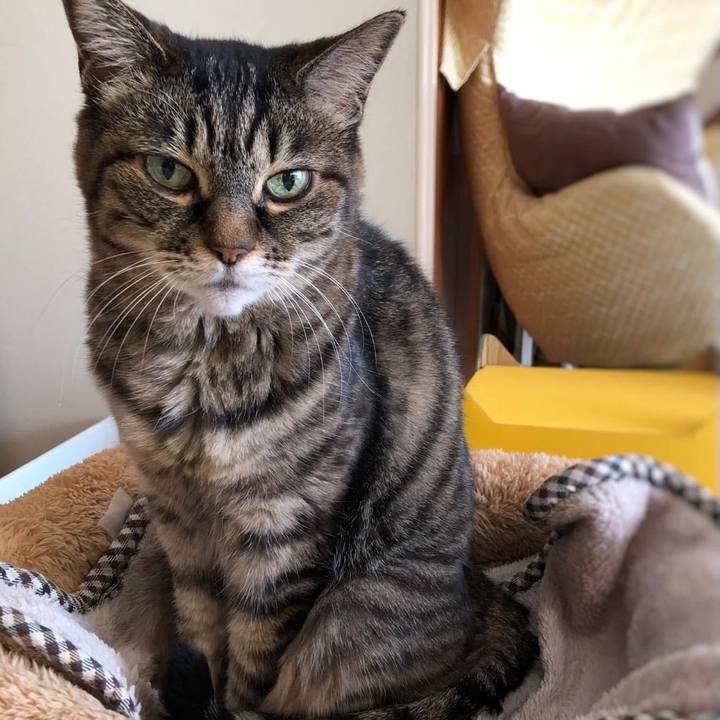 Fa5d844a 1b7d 4671 acfc ca6a43e4cf4d 1762518852450