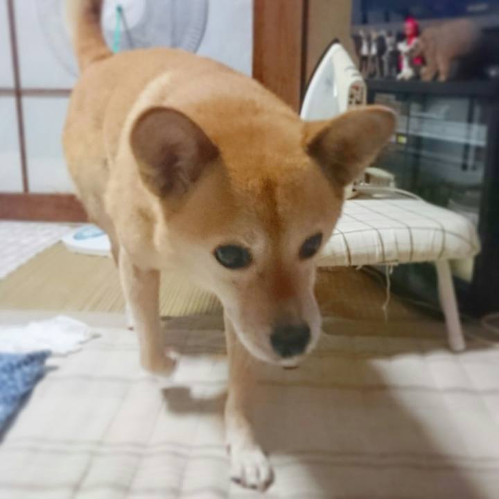 Fa5dcbbf eb44 4997 9d79 5077b202c888 1534087533754