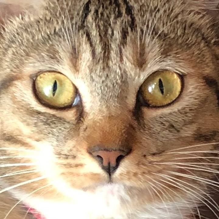 Fa5dd6a2 2a06 439c b5f4 b89a324727af 1582981974941