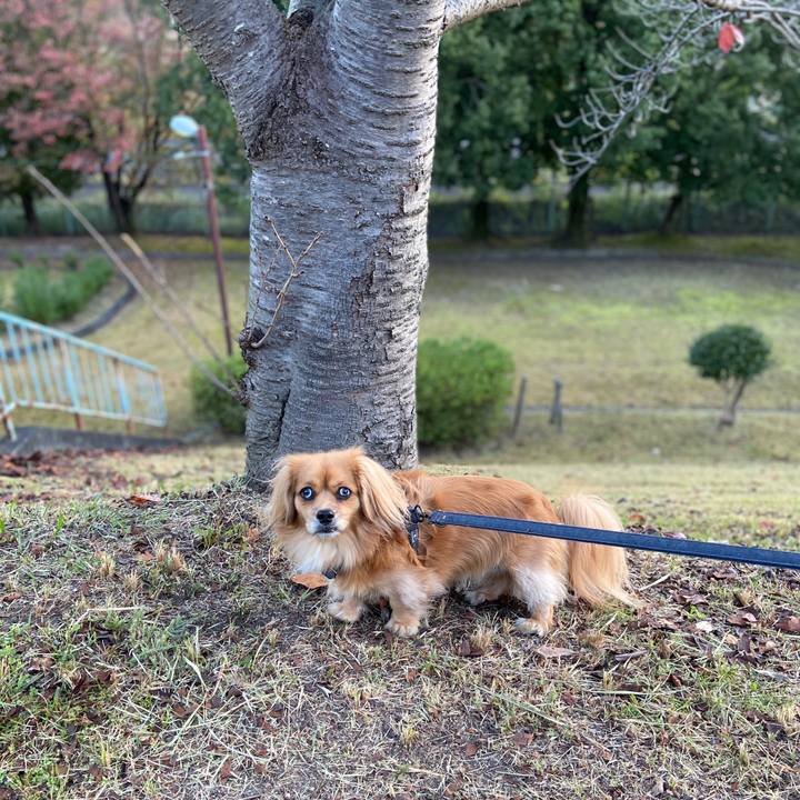 Fa5de780 35da 4f95 94cb ba0e93fdcdb4 1573424994336