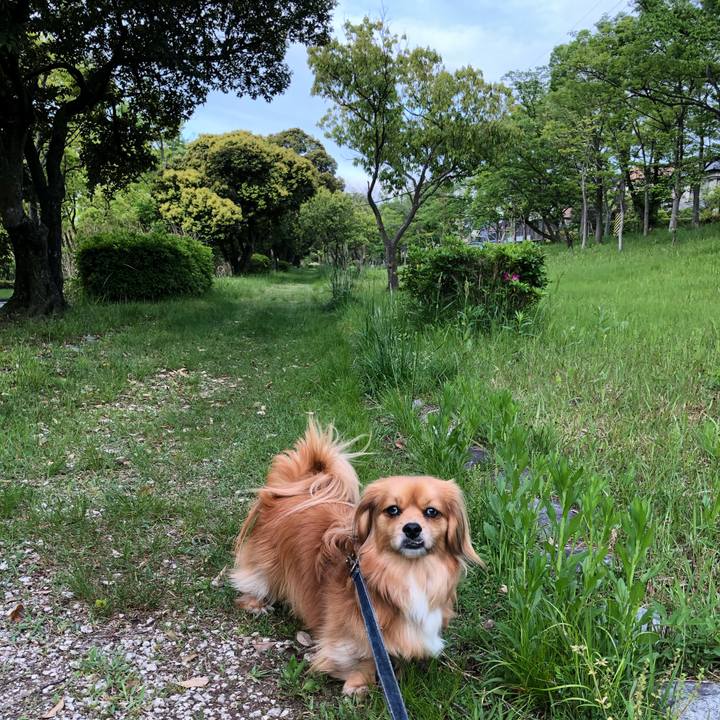 Fa5e2659 e5cb 4206 8715 5617201cebf8 1557349169378