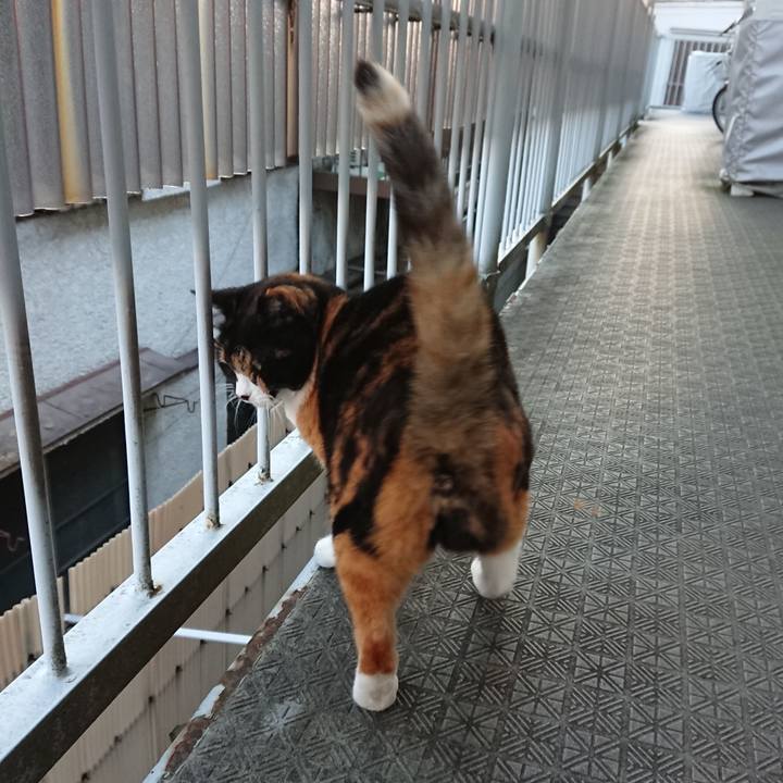 Fa5e86aa a6ed 4d51 9731 8394d1be71fe 1666819923751