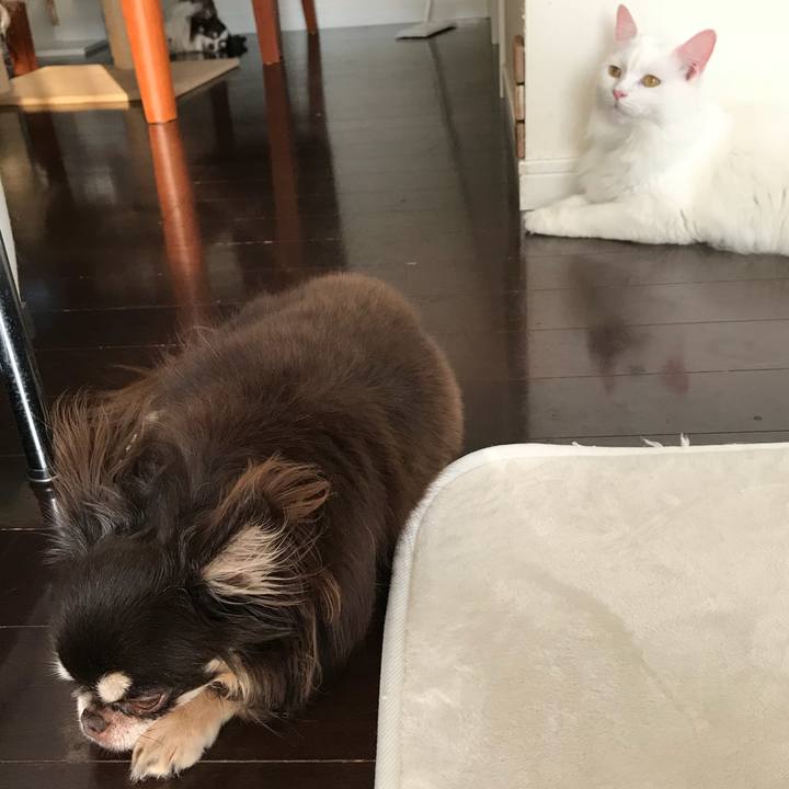 Fa5eb030 2e42 4b44 9aa0 d3b39c6be36b 1534477420284