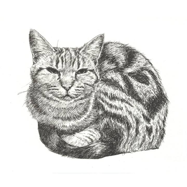 Fa5ec611 f227 4aae a8ee a9a7e46b3d6d 1573740702700