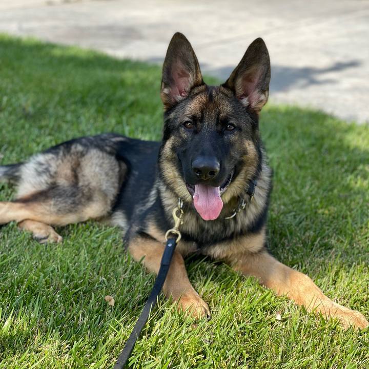 Fa5ecc7c 8454 411b 9bd9 3dcd678a0ce4 1654724792397