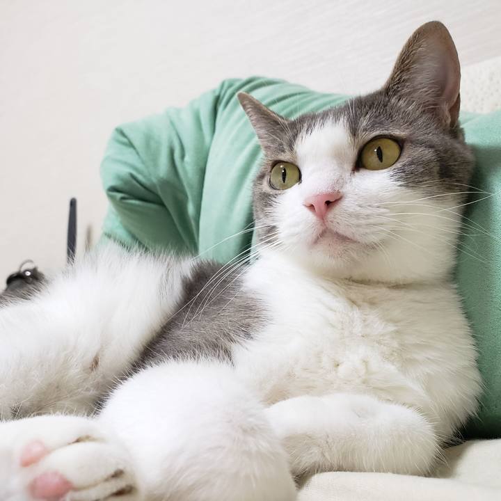 Fa5f0e20 2546 4ff2 8a72 24d40d338344 1579666794220