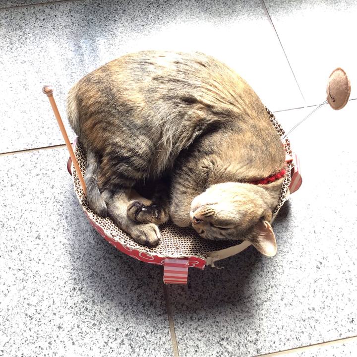 Fa5f2915 55e9 4ba6 84a1 fd82b56d27c7 1613706695975