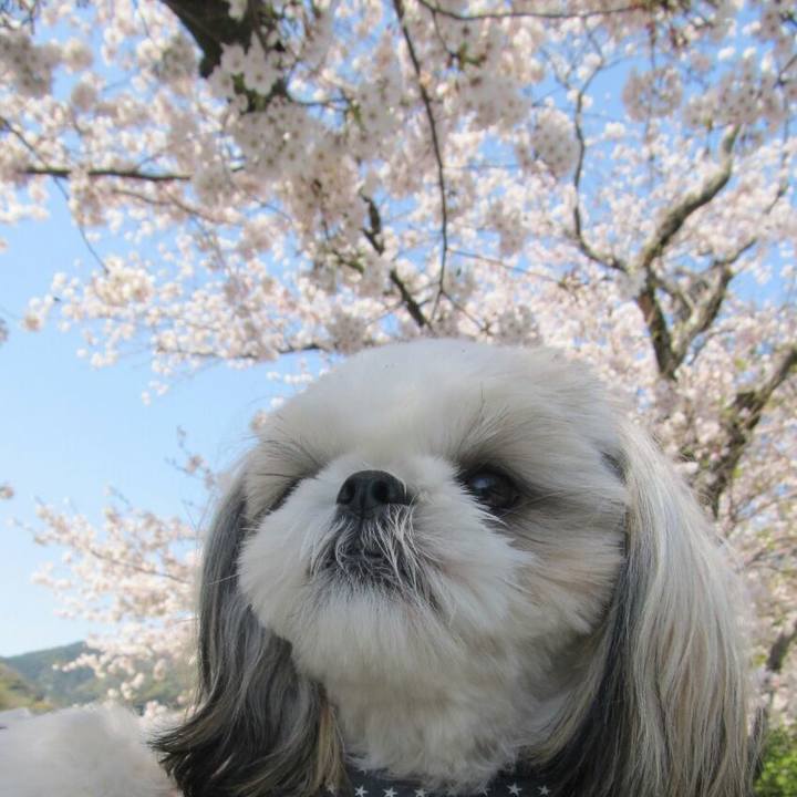 Fa5f907c 7ef9 448a 85e7 c34b49ec4bfb 1554646154269