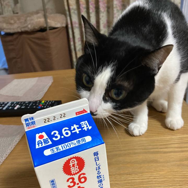 Fa5fce2a fe2e 4e76 90f0 11c0c7164532 1644965612216