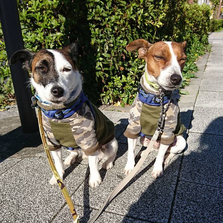 Fa60031a 24a5 4777 942a b84716914efe 1604967564703