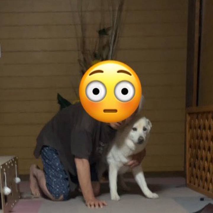 Fa601505 1686 437a bf8f 230c504c3573 1765235905530